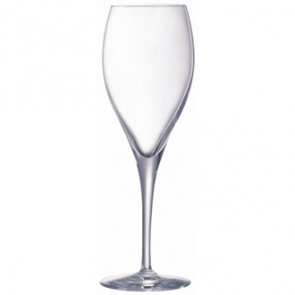 Chef and Sommelier Oenlogue Expert Champagne Flutes 260ml