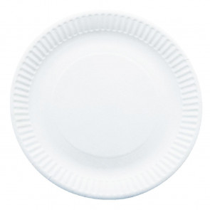 Paper Plates 9in